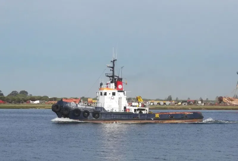 SERTOSA DIECISIETE General Cargo IMO 7510559 photo 8