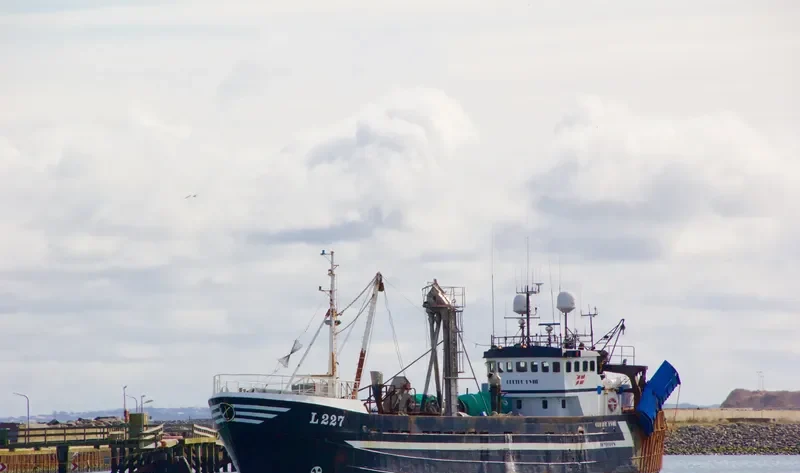 GRETHE HVIID General Cargo IMO 7510614 photo 3