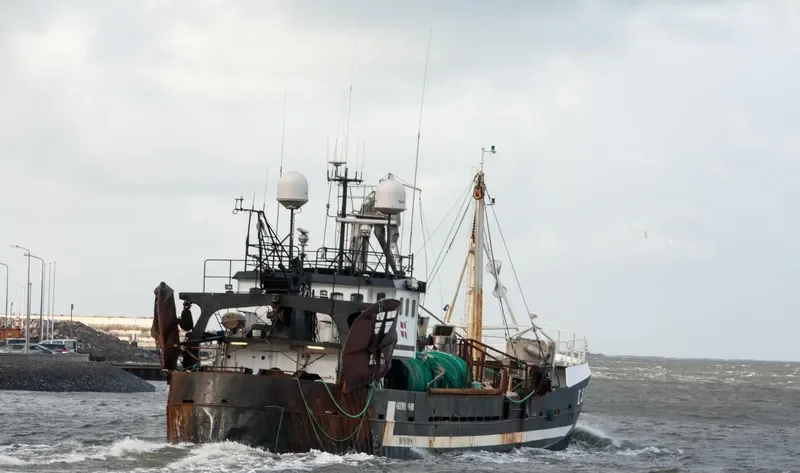 GRETHE HVIID General Cargo IMO 7510614 photo 4