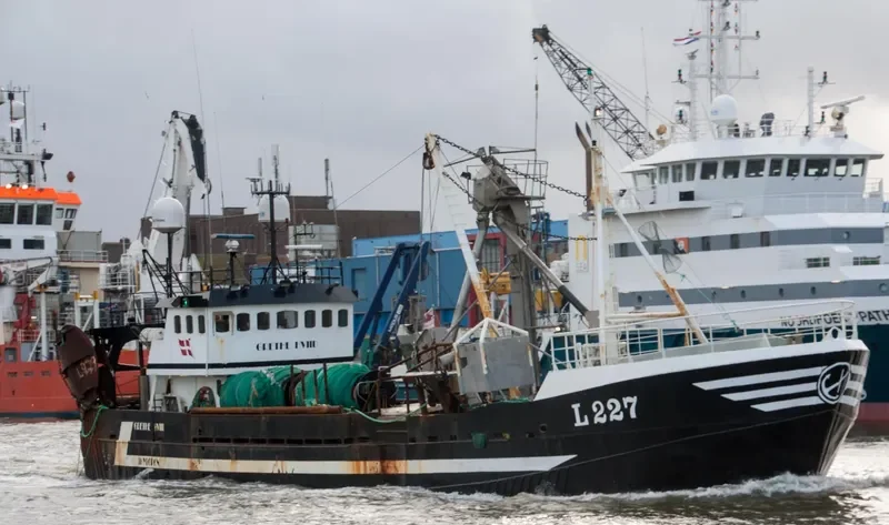 GRETHE HVIID General Cargo IMO 7510614 photo 6