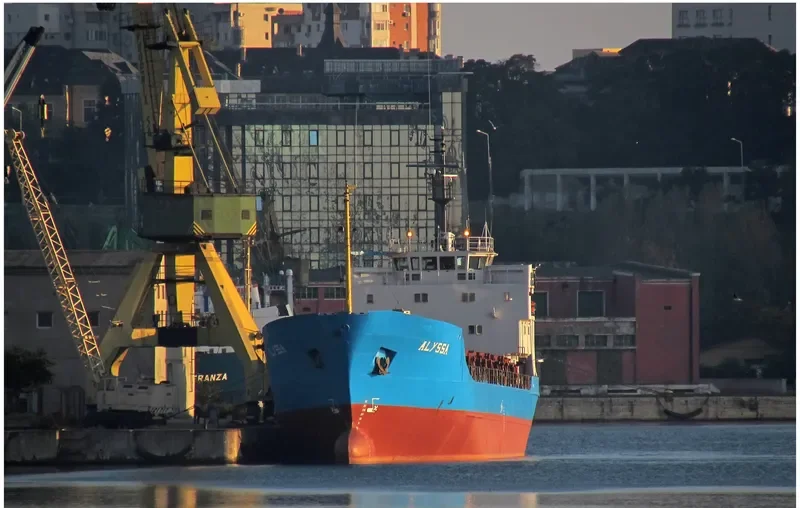 SEA ROYAL General Cargo IMO 7510676 photo 7
