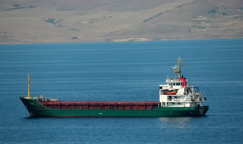 BLUE SKY M General Cargo IMO 7510690 photo 2