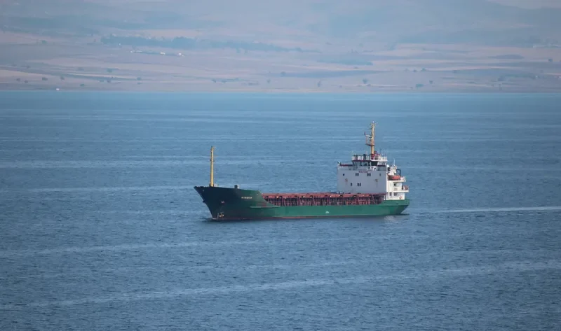 BLUE SKY M General Cargo IMO 7510690 photo 4