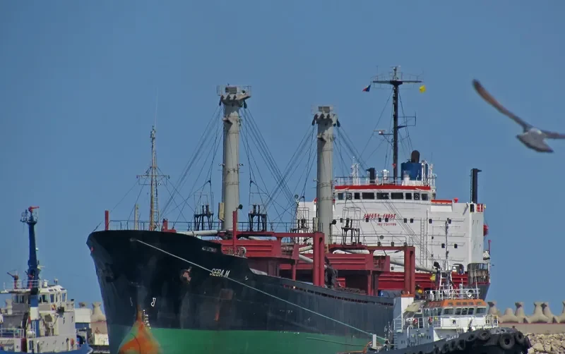 SEBA M Bulk Carrier IMO 7511199 photo 5