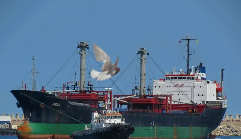 SEBA M Bulk Carrier IMO 7511199 photo 6