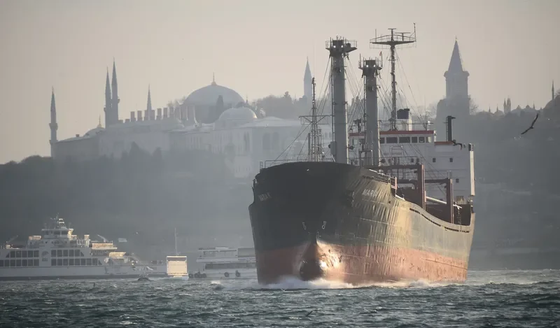 MARIA K Bulk Carrier IMO 7511204 photo 6