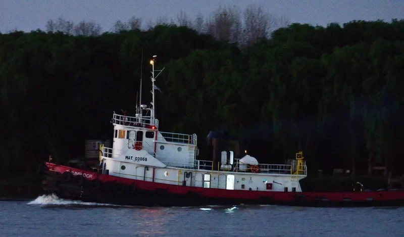 TRIUNFADOR Tug Boat IMO 7511450 photo 9