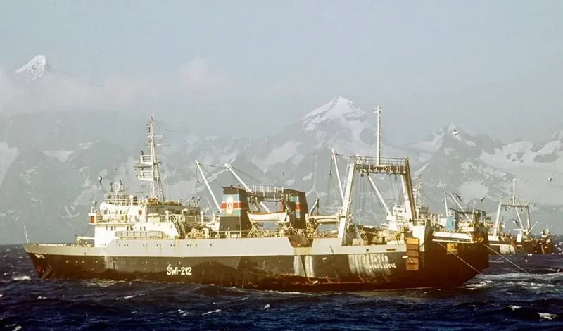 TAZAR Fishing Vessel IMO 7511644