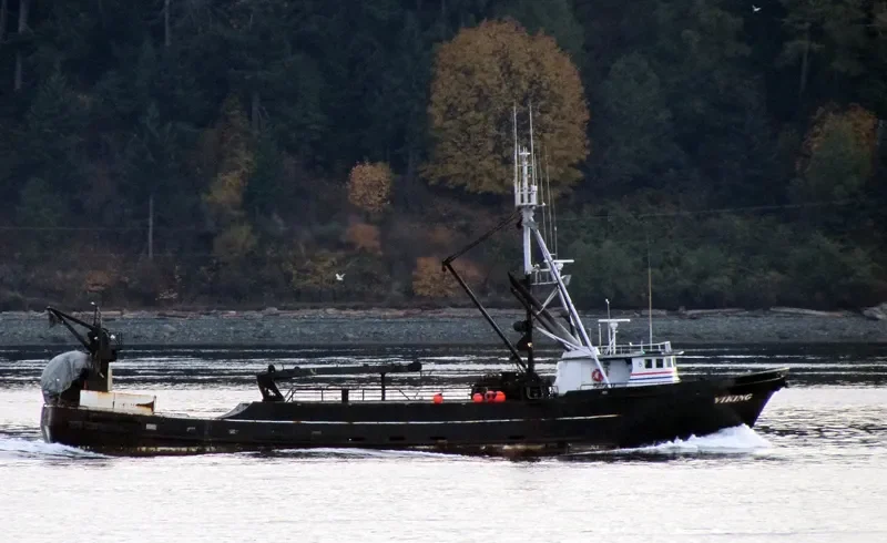 VIKING General Cargo IMO 7511814 photo 2
