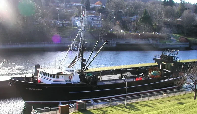 VIKING General Cargo IMO 7511814 photo 3