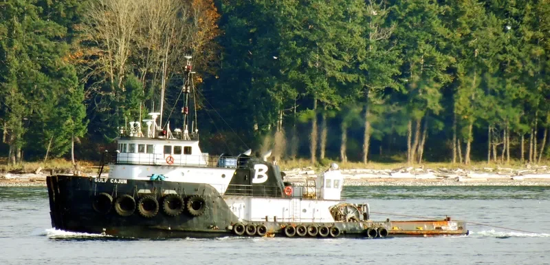 GULF CAJUN General Cargo IMO 7511981 photo 4