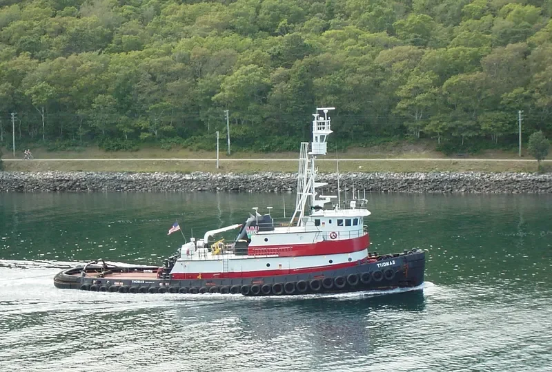 THOMAS General Cargo IMO 7512026 photo 10