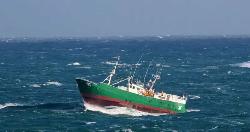O GENITA General Cargo IMO 7512234
