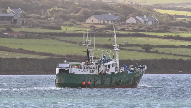 O GENITA General Cargo IMO 7512234 photo 5