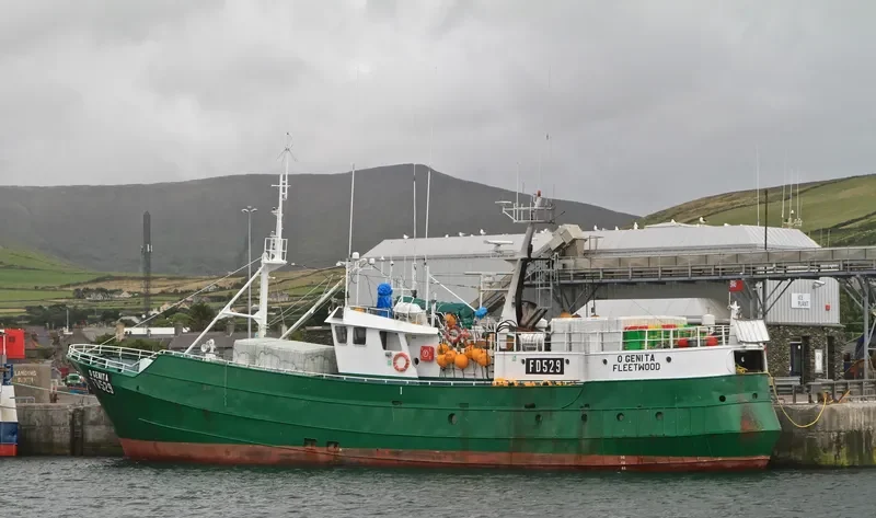 O GENITA General Cargo IMO 7512234 photo 8