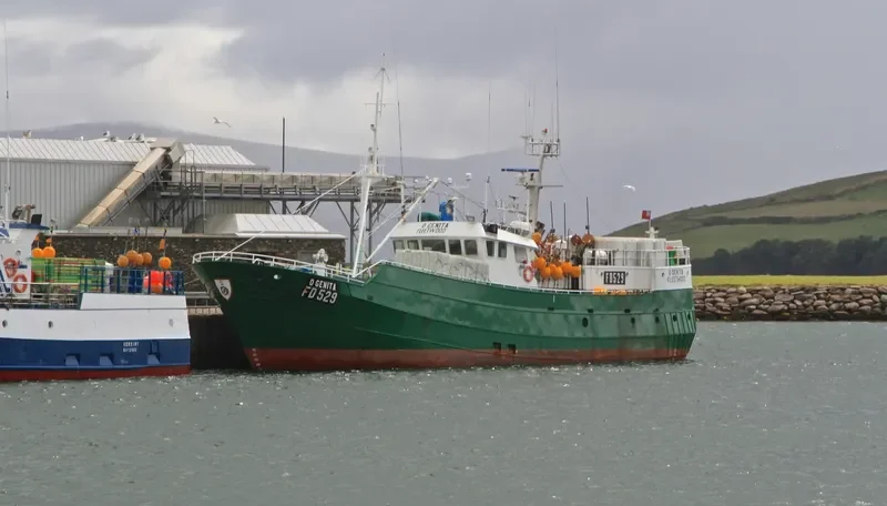 O GENITA General Cargo IMO 7512234 photo 9