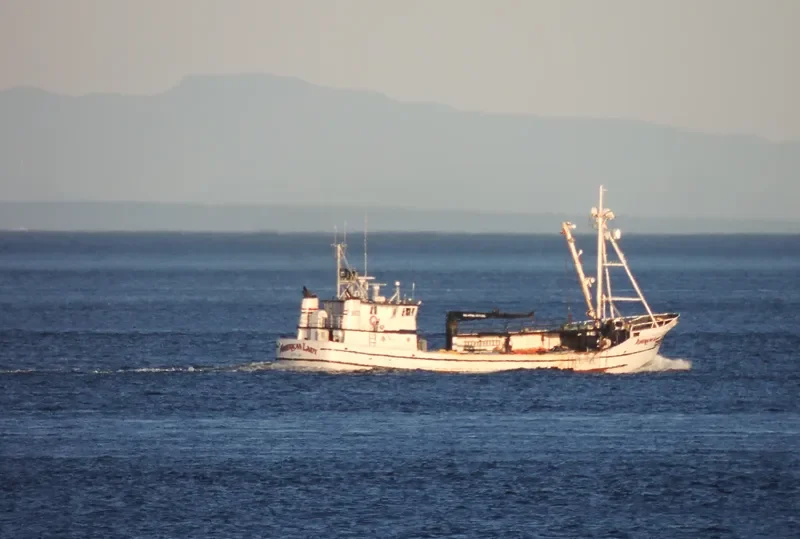 AMERICAN LADY Fishing Vessel IMO 7513006 photo 10