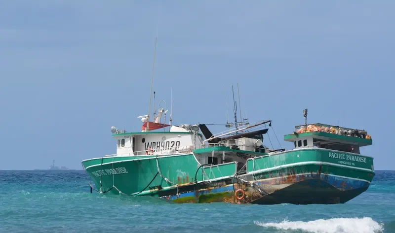 PACIFIC PARADISE General Cargo IMO 7513032