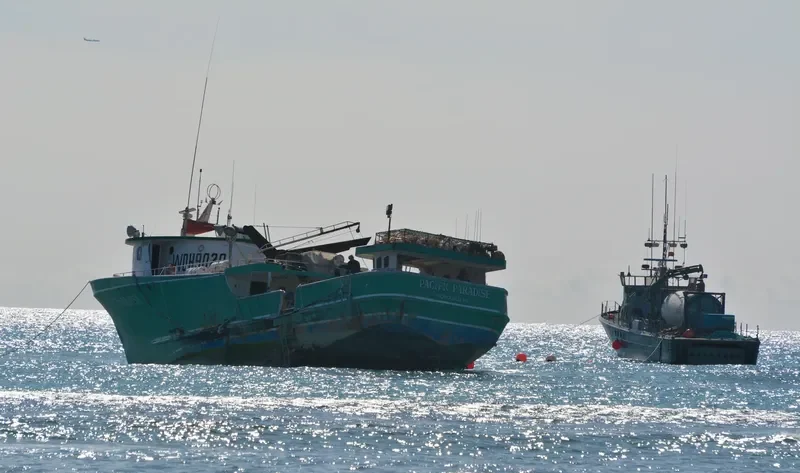 PACIFIC PARADISE General Cargo IMO 7513032 photo 2