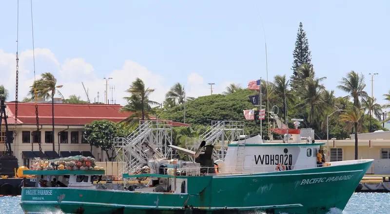 PACIFIC PARADISE General Cargo IMO 7513032 photo 3