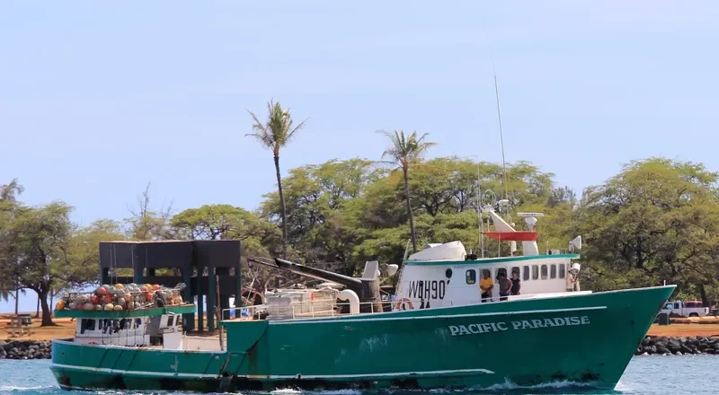 PACIFIC PARADISE General Cargo IMO 7513032 photo 4