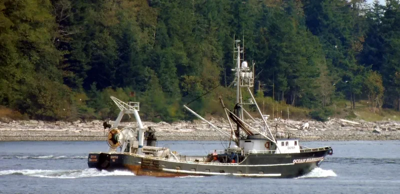OCEAN HARVESTER Fishing Vessel IMO 7513331 photo 8