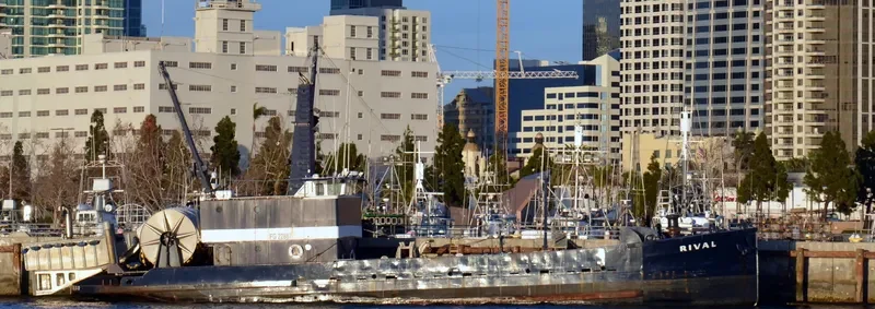 RIVAL General Cargo IMO 7513446