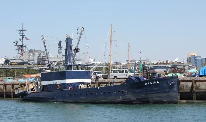 RIVAL General Cargo IMO 7513446 photo 3