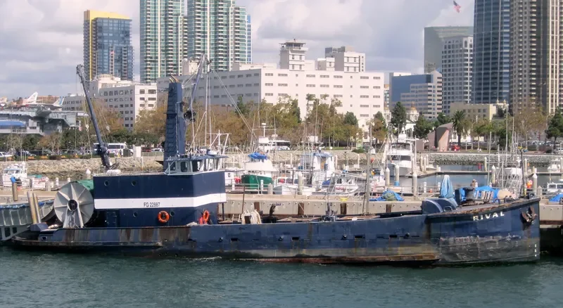RIVAL General Cargo IMO 7513446 photo 4
