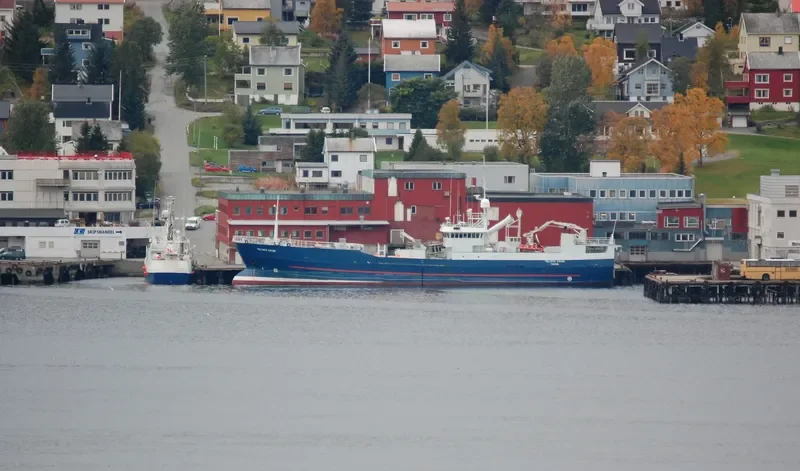 POLYNYA VIKING General Cargo IMO 7514294 photo 10