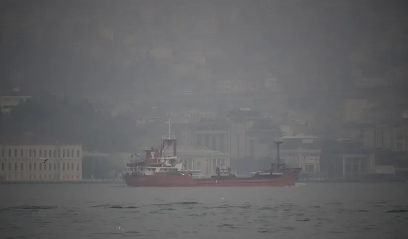 ILYAS ARAZ General Cargo IMO 7514359 photo 9