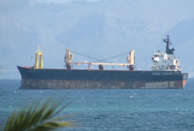 SKIF General Cargo IMO 7514543 photo 2