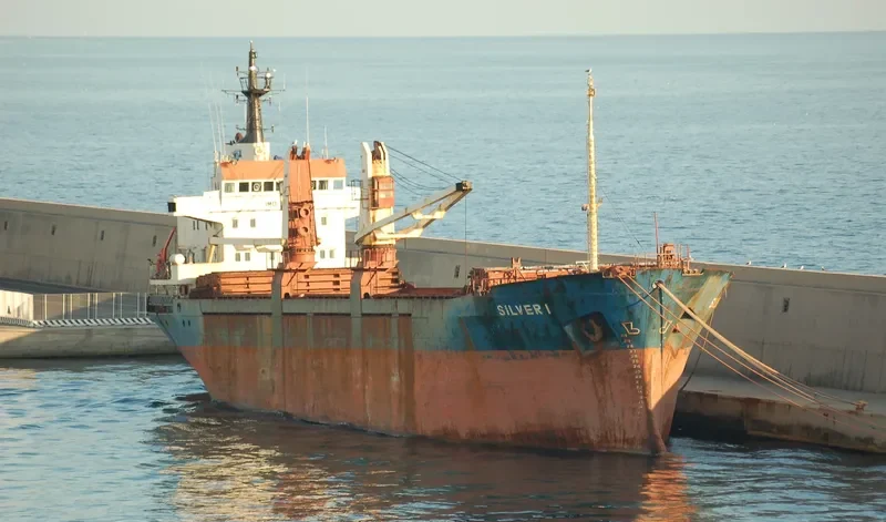 SILVER 1 General Cargo IMO 7514579 photo 4