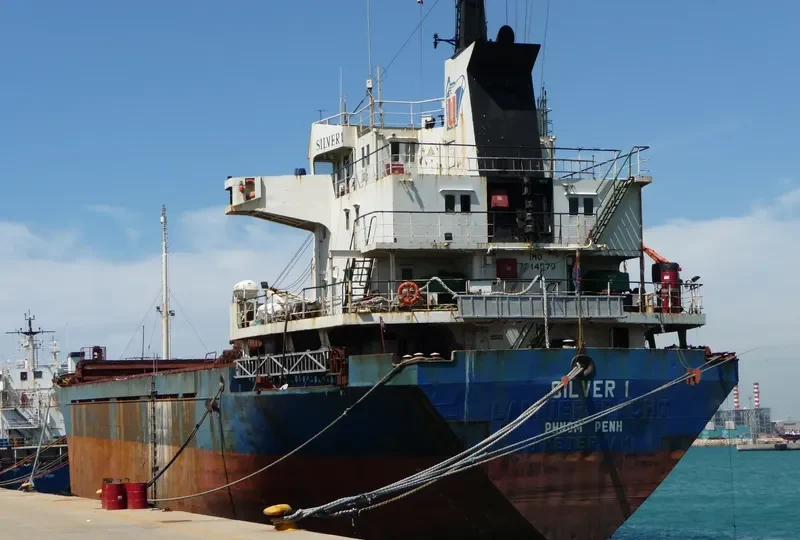 SILVER 1 General Cargo IMO 7514579 photo 6