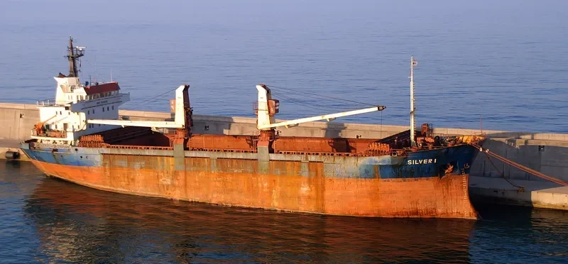 SILVER 1 General Cargo IMO 7514579 photo 7