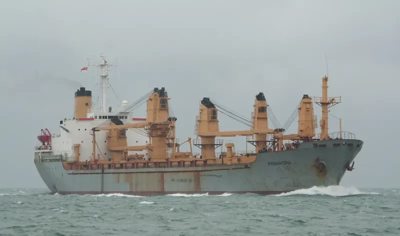 PRIMAVERA General Cargo IMO 7514634