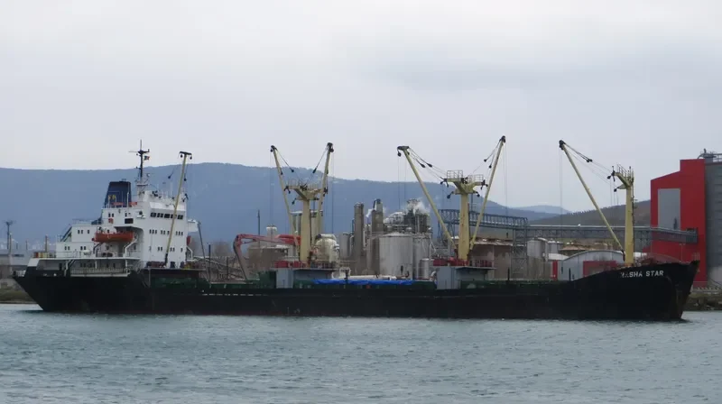 RASHA STAR General Cargo IMO 7516448 photo 4