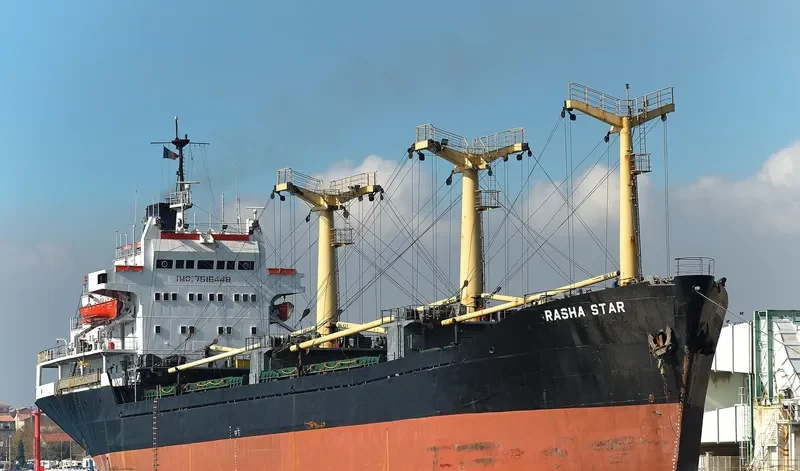 RASHA STAR General Cargo IMO 7516448 photo 6