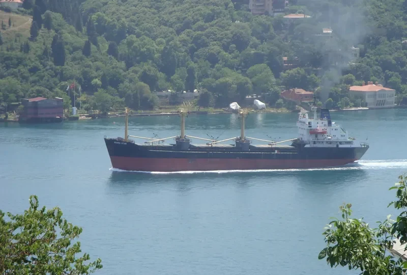RASHA STAR General Cargo IMO 7516448 photo 8