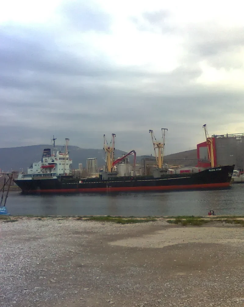 RASHA STAR General Cargo IMO 7516448 photo 9