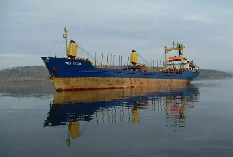 SEA STAR 1 General Cargo IMO 7516723 photo 2