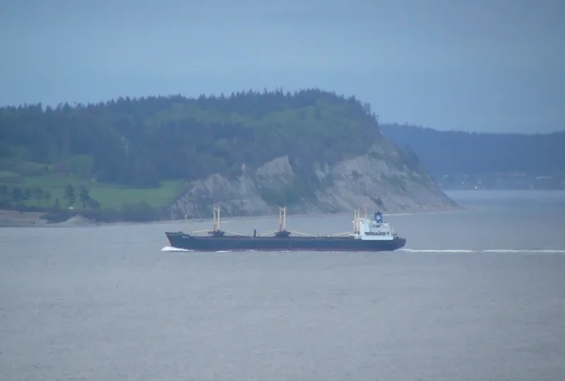 HARRIETTE Bulk Carrier IMO 7516993 photo 5