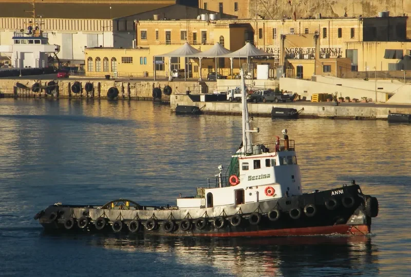 ANNI Tug Boat IMO 7517143 photo 8