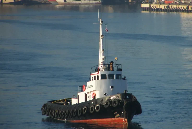 ANNI Tug Boat IMO 7517143 photo 9