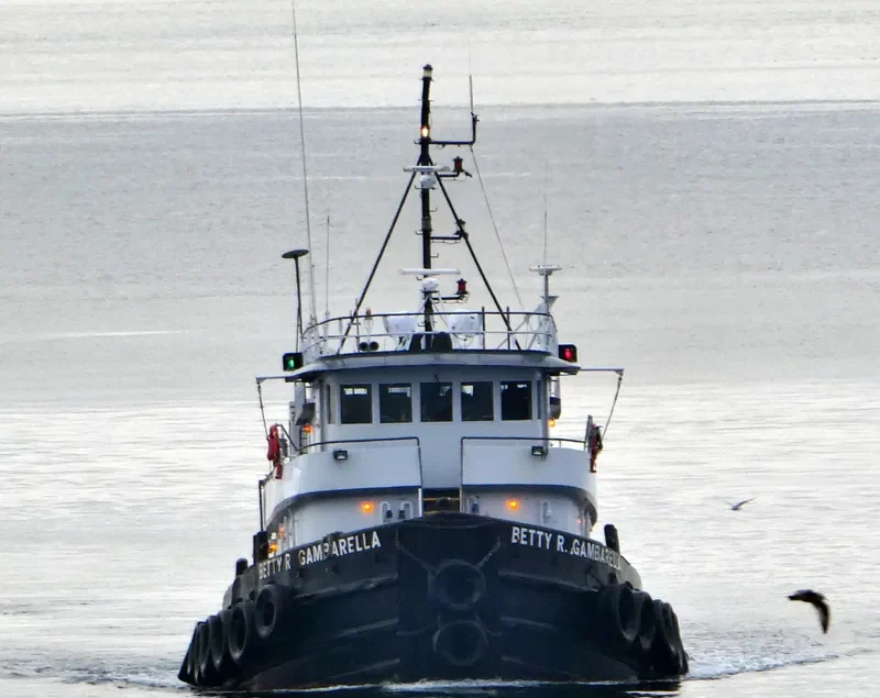 ELIZABETH C General Cargo IMO 7517478 photo 4