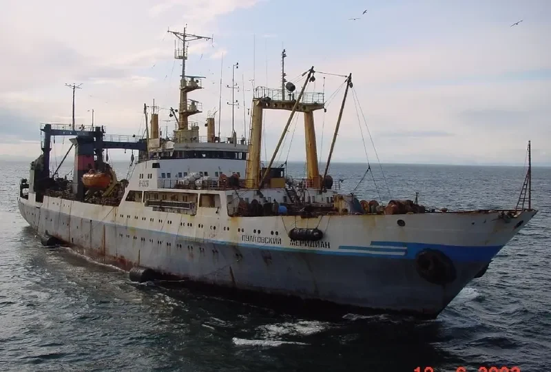 PULKOVSKIY MERIDIAN General Cargo IMO 7518173 photo 2