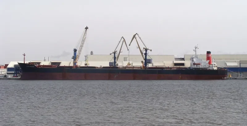 AGIOS VARTHOLOMEOS Bulk Carrier IMO 7518305 photo 2