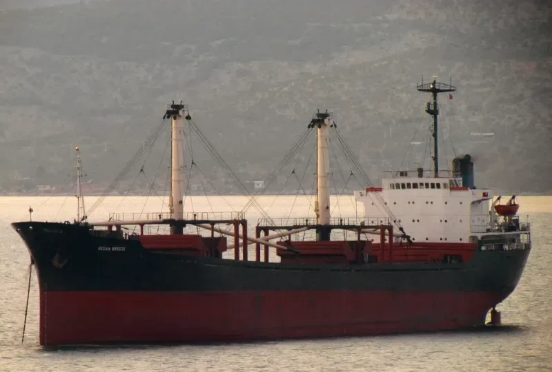 OCEAN BREEZE Bulk Carrier IMO 7518800 photo 3