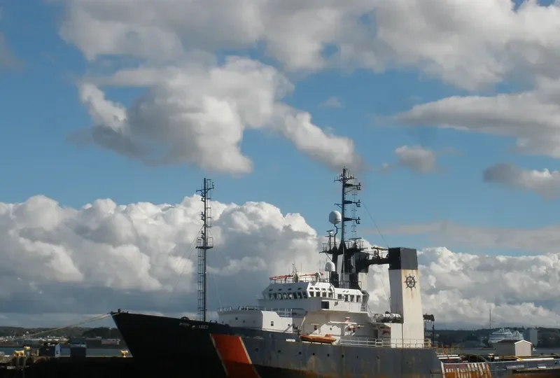 RYAN LEET General Cargo IMO 7518977 photo 2