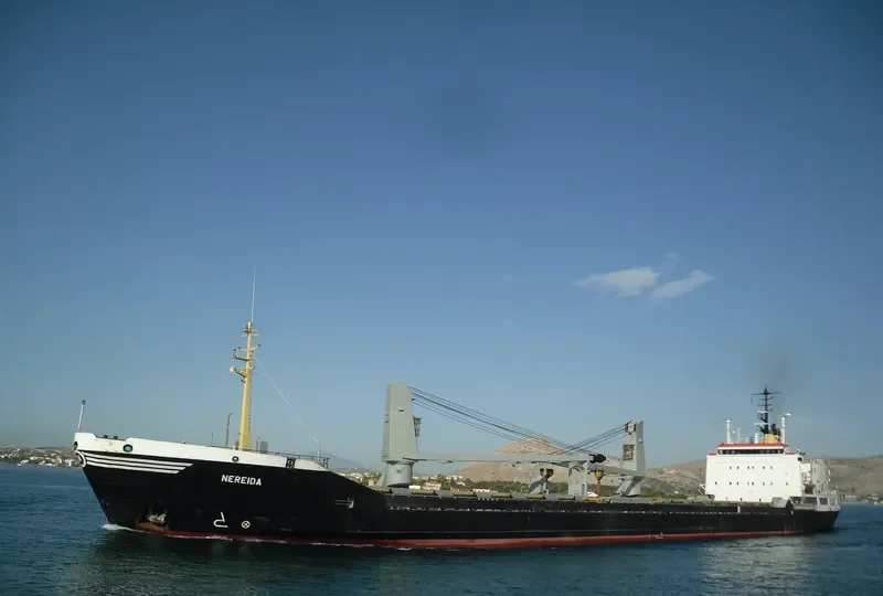 NEREIDA General Cargo IMO 7519294 photo 10